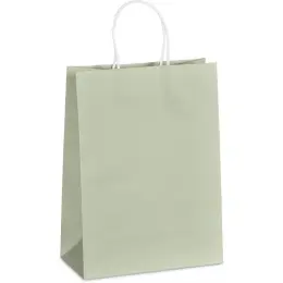 Altitude Vogue Midi Paper Gift Bag Light Green